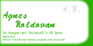 agnes moldovan business card